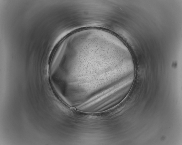 X0000097611324200803141930