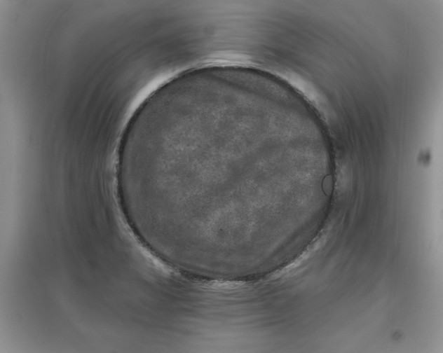 X0000097611325200803141930