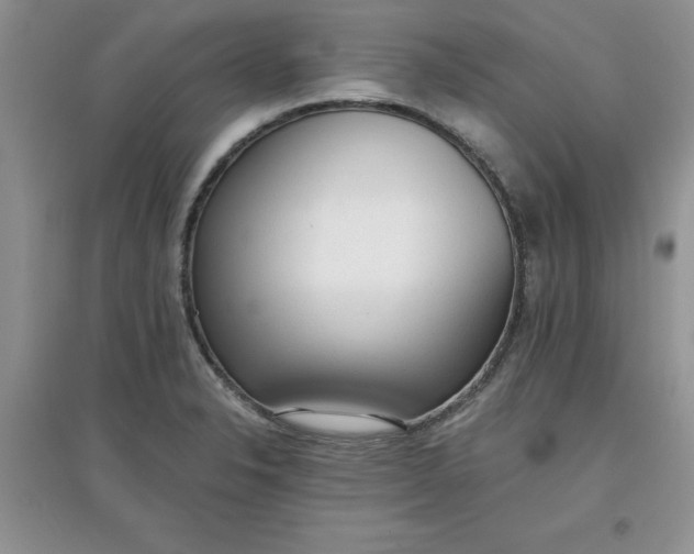 X0000097611326200803141930