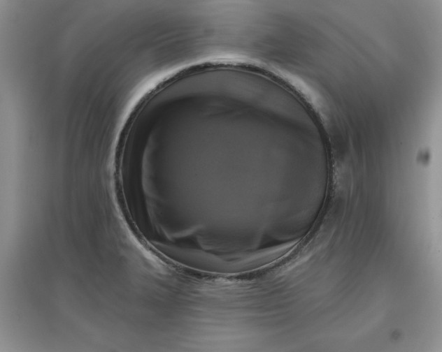 X0000097611327200803141930