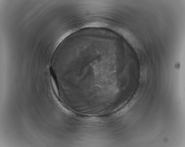 X0000097611329200803141931