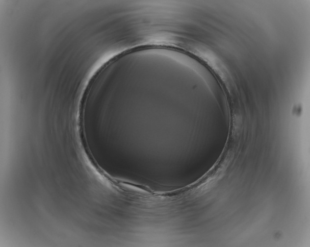 X0000097611331200803141931