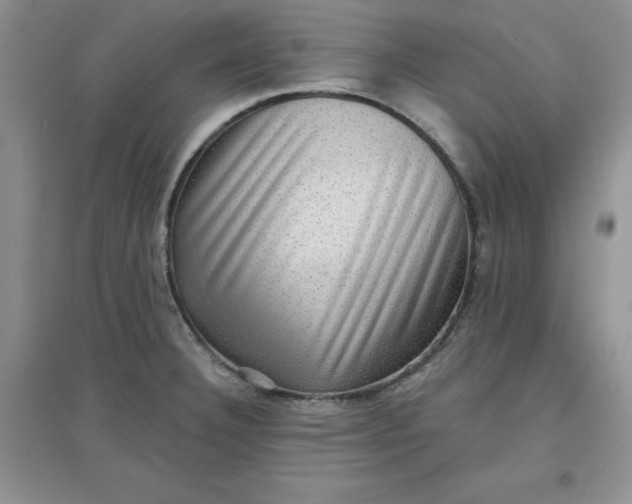 X0000097611332200803141931