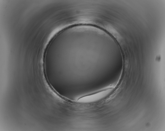 X0000097611334200803141931