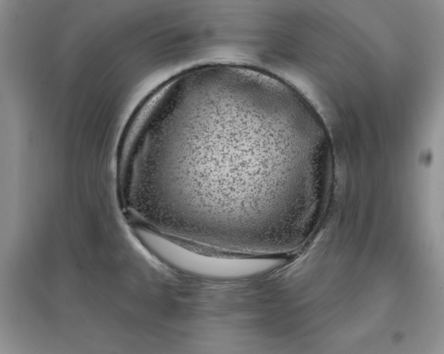 X0000097611335200803141931