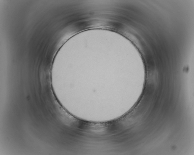 X0000097611338200803141931