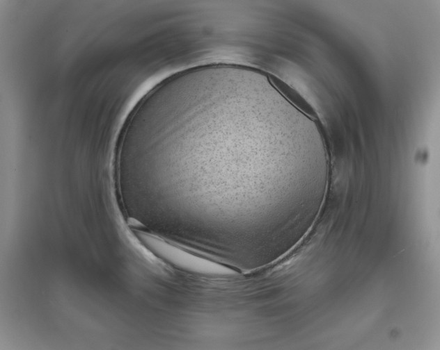 X0000097611339200803141931