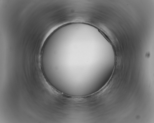 X0000097611340200803141931