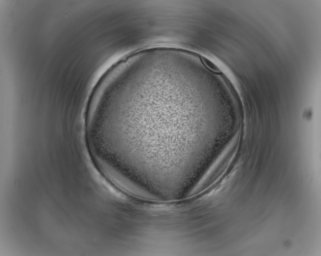 X0000097611341200803141931