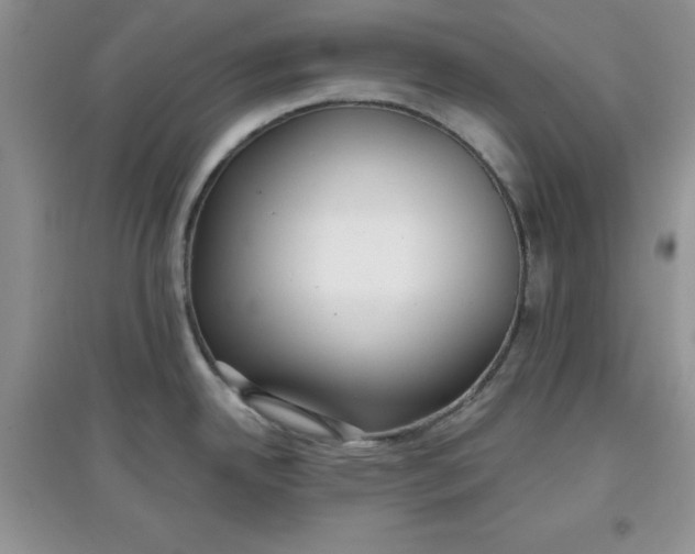 X0000097611342200803141931