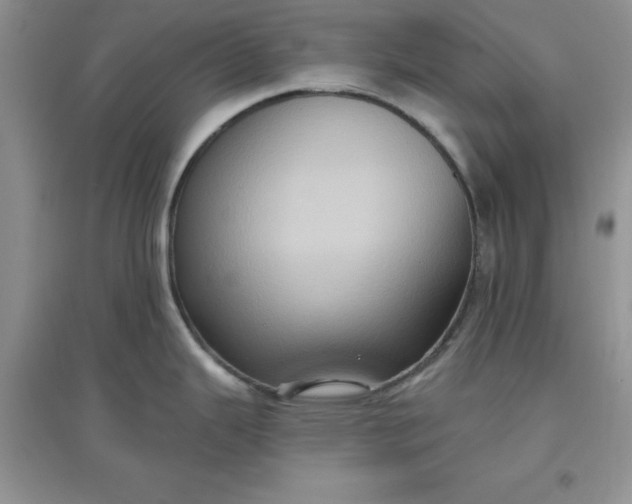 X0000097611343200803141931