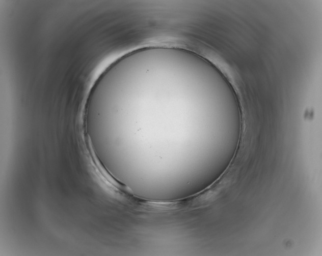 X0000097611344200803141931