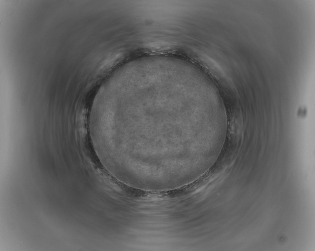 X0000097611346200803141930