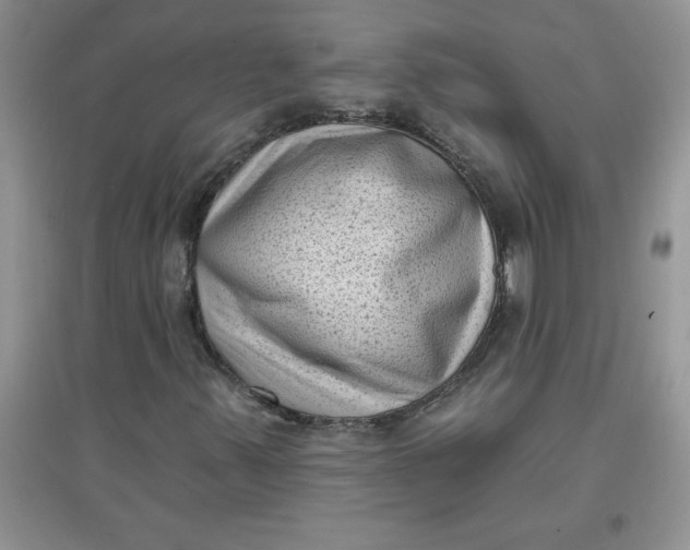 X0000097611347200803141930