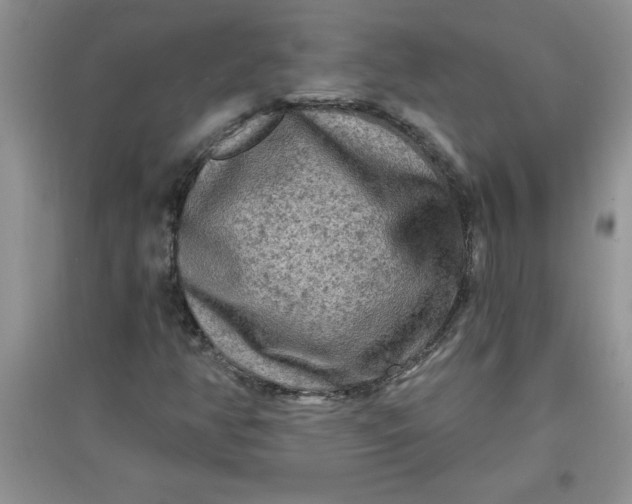 X0000097611350200803141930