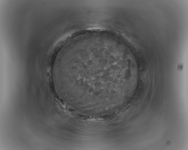 X0000097611351200803141930