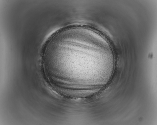 X0000097611352200803141930