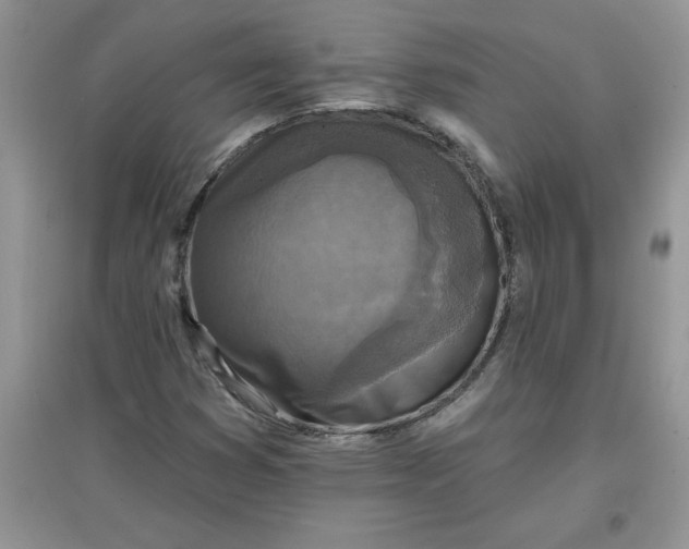 X0000097611353200803141930