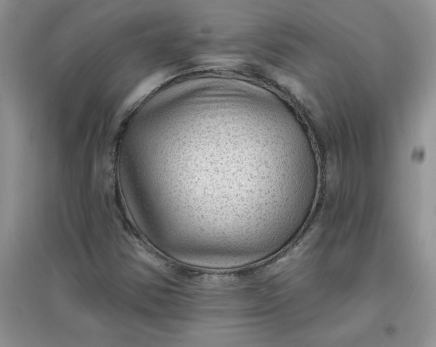 X0000097611354200803141930