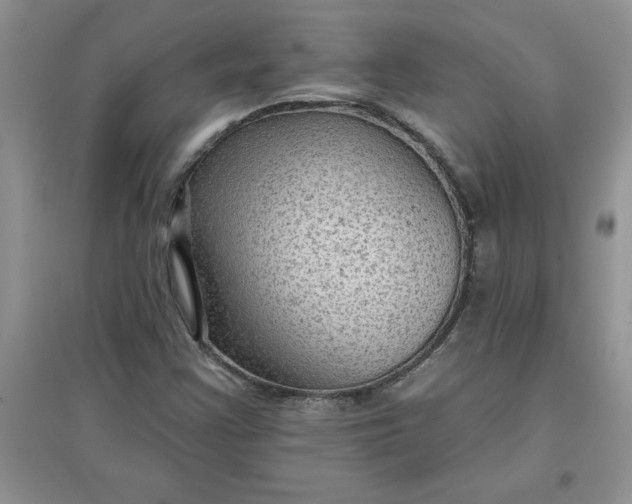 X0000097611355200803141930