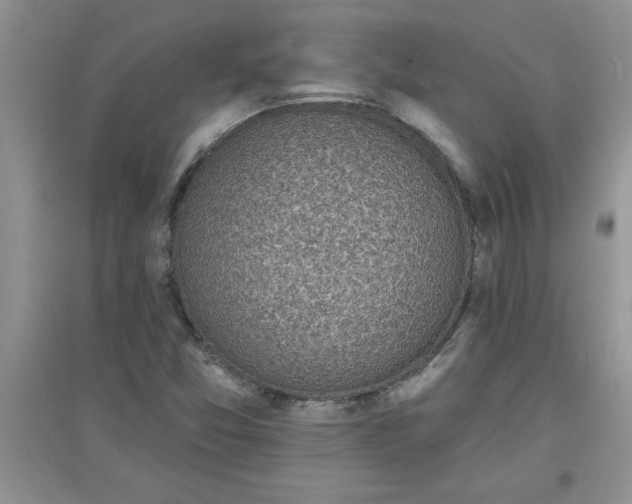 X0000097611357200803141930