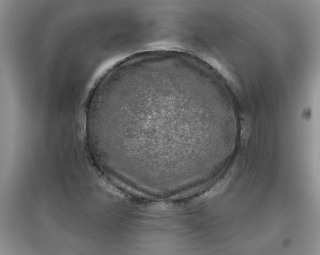 X0000097611358200803141930