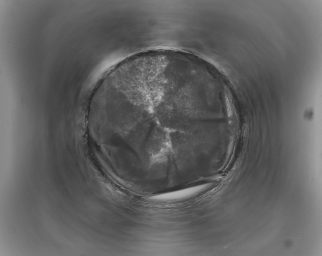 X0000097611359200803141930