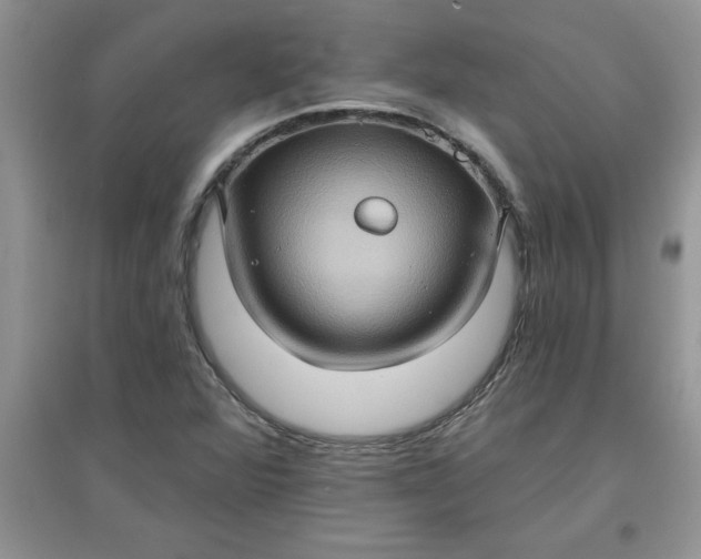 X0000097611360200803141930