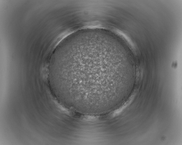 X0000097611361200803141930