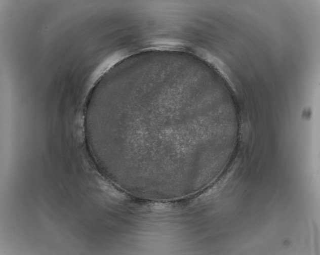 X0000097611362200803141930