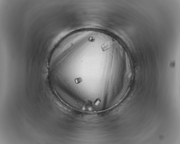 X0000097611363200803141930