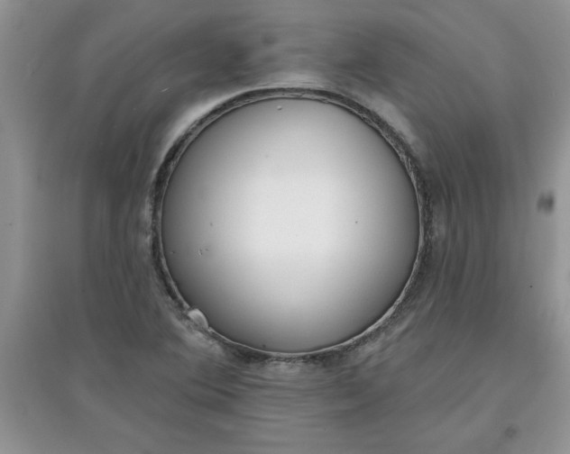 X0000097611364200803141930