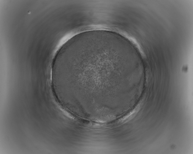 X0000097611365200803141930