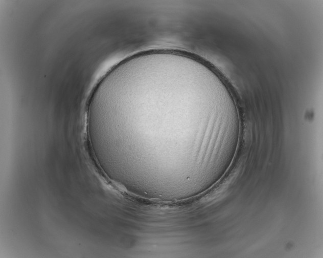 X0000097611366200803141930