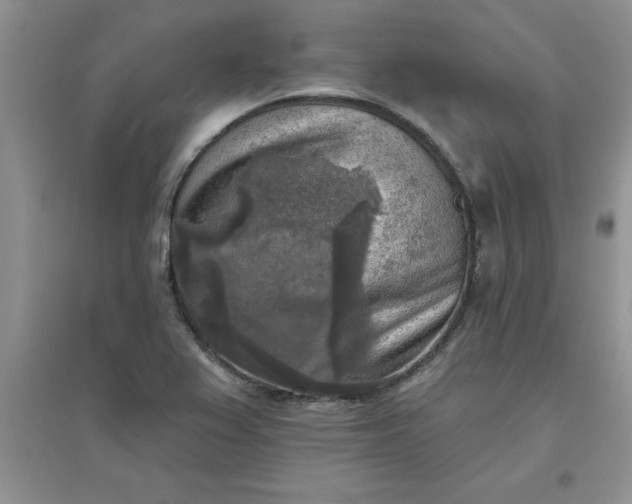 X0000097611367200803141930