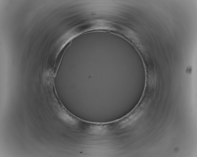 X0000097611369200803141930