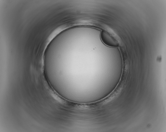 X0000097611370200803141930