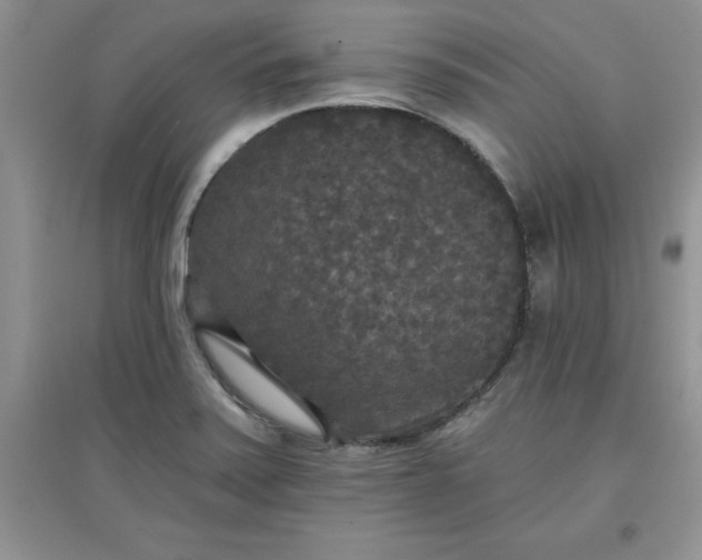 X0000097611371200803141930