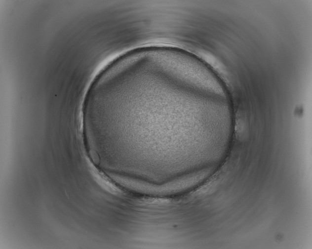 X0000097611372200803141930