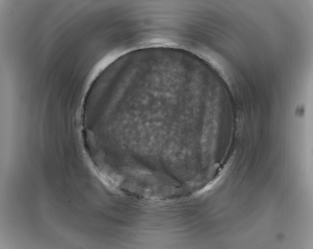 X0000097611373200803141930