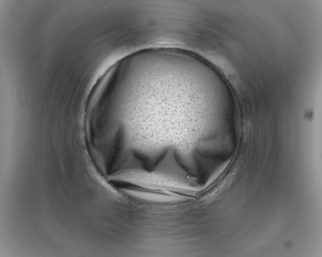 X0000097611374200803141929