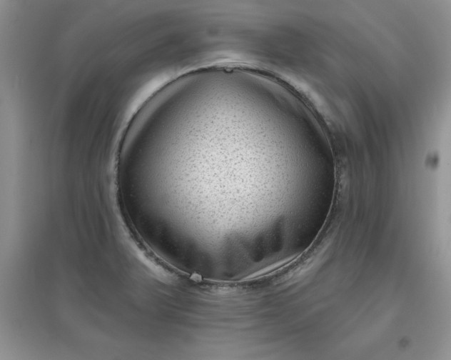 X0000097611375200803141929