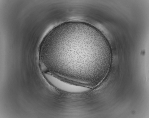 X0000097611376200803141929