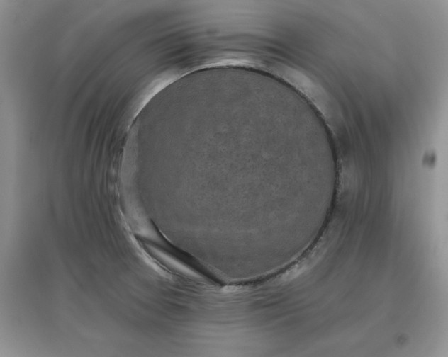 X0000097611377200803141929