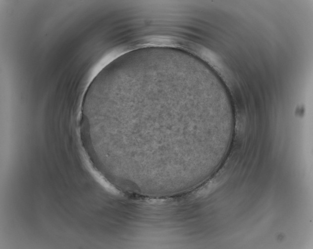 X0000097611378200803141929