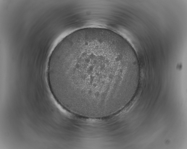 X0000097611379200803141929