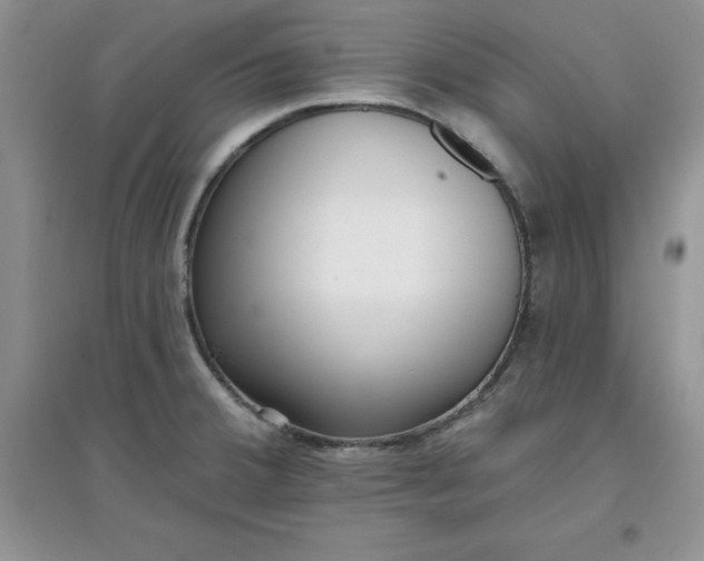 X0000097611380200803141929