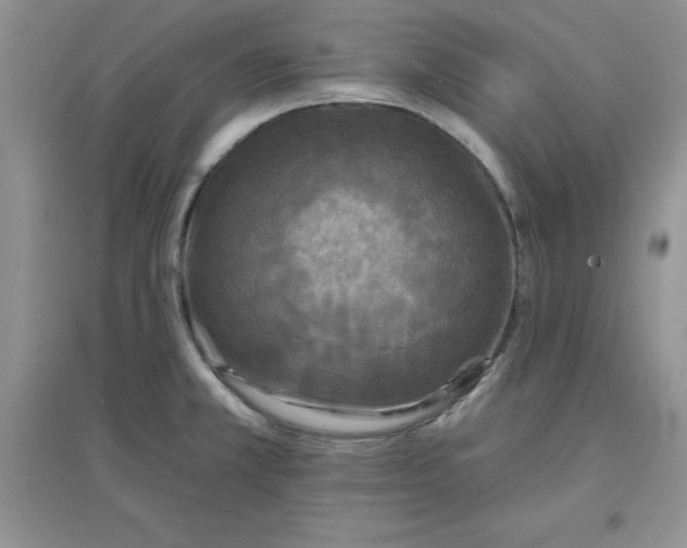 X0000097611381200803141929