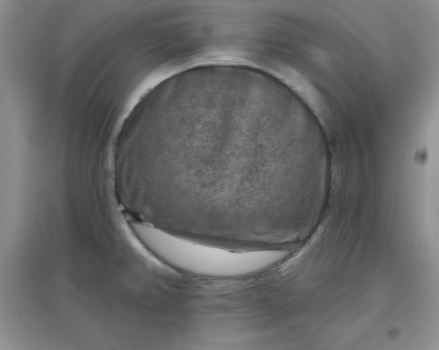 X0000097611382200803141929