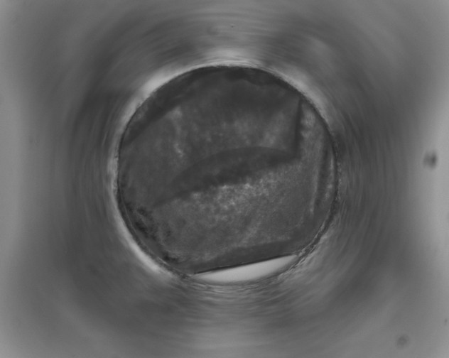 X0000097611383200803141929